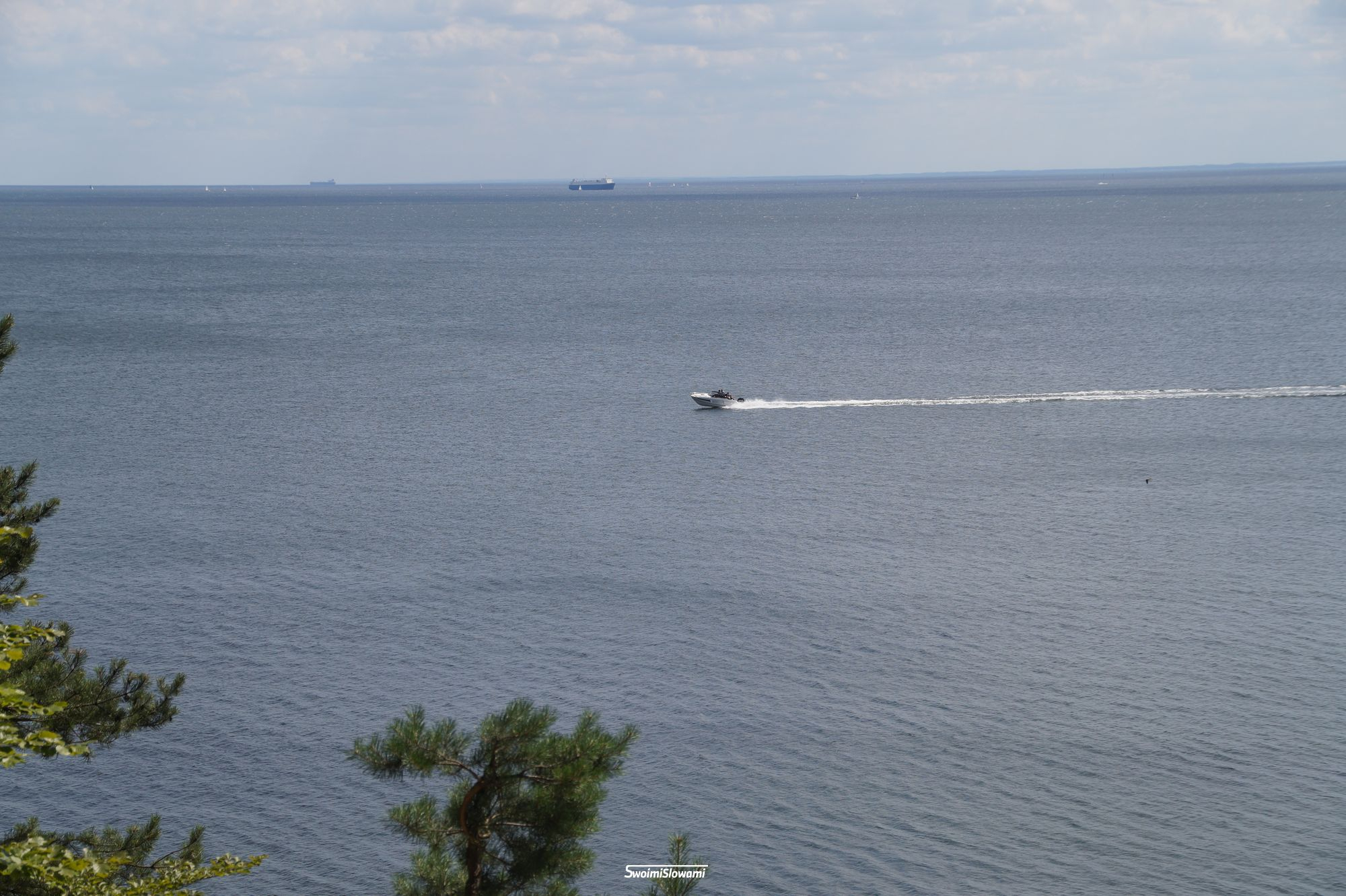 Gdynia Orlowo Klif 34.jpg